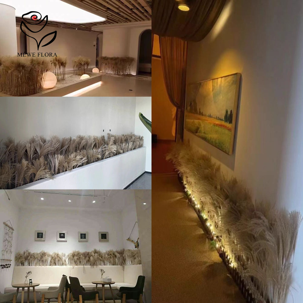200 STKS Natuurlijke Gedroogde - Luxury Lifestyle Items recensie en prijs
